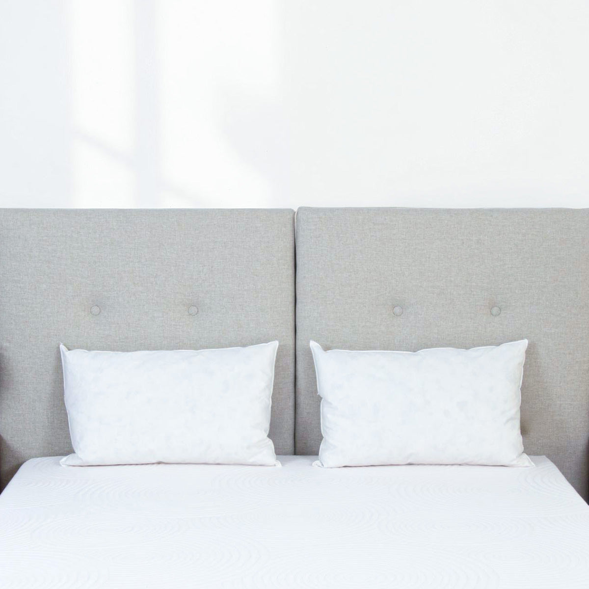 Oreiller Plumes et duvet NATURA