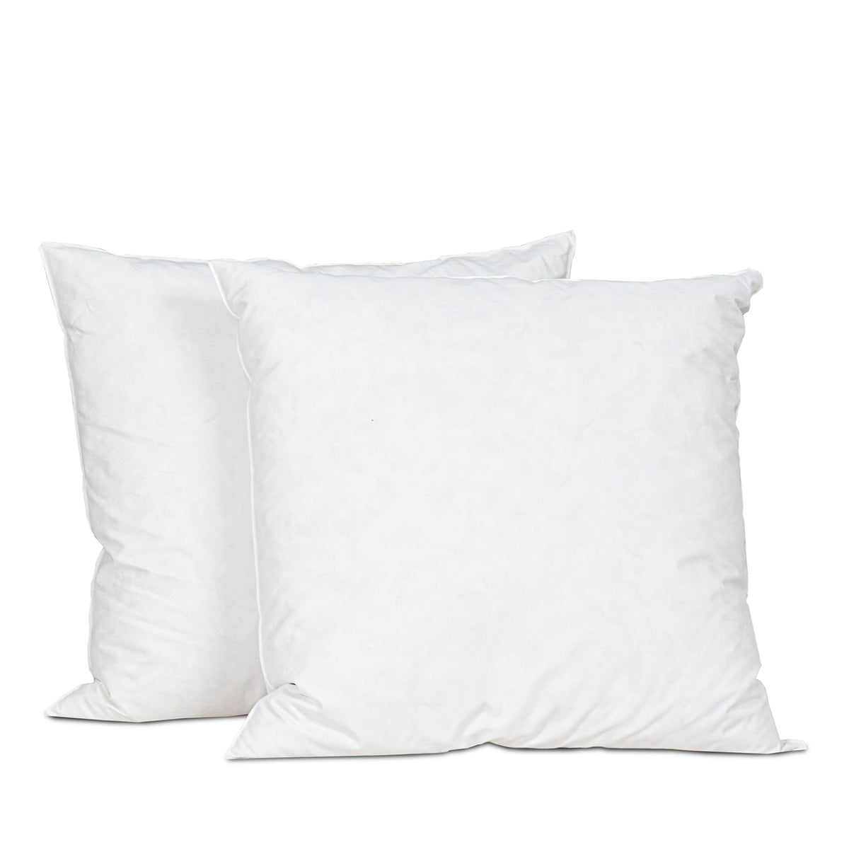 Oreiller Plumes et duvet NATURA
