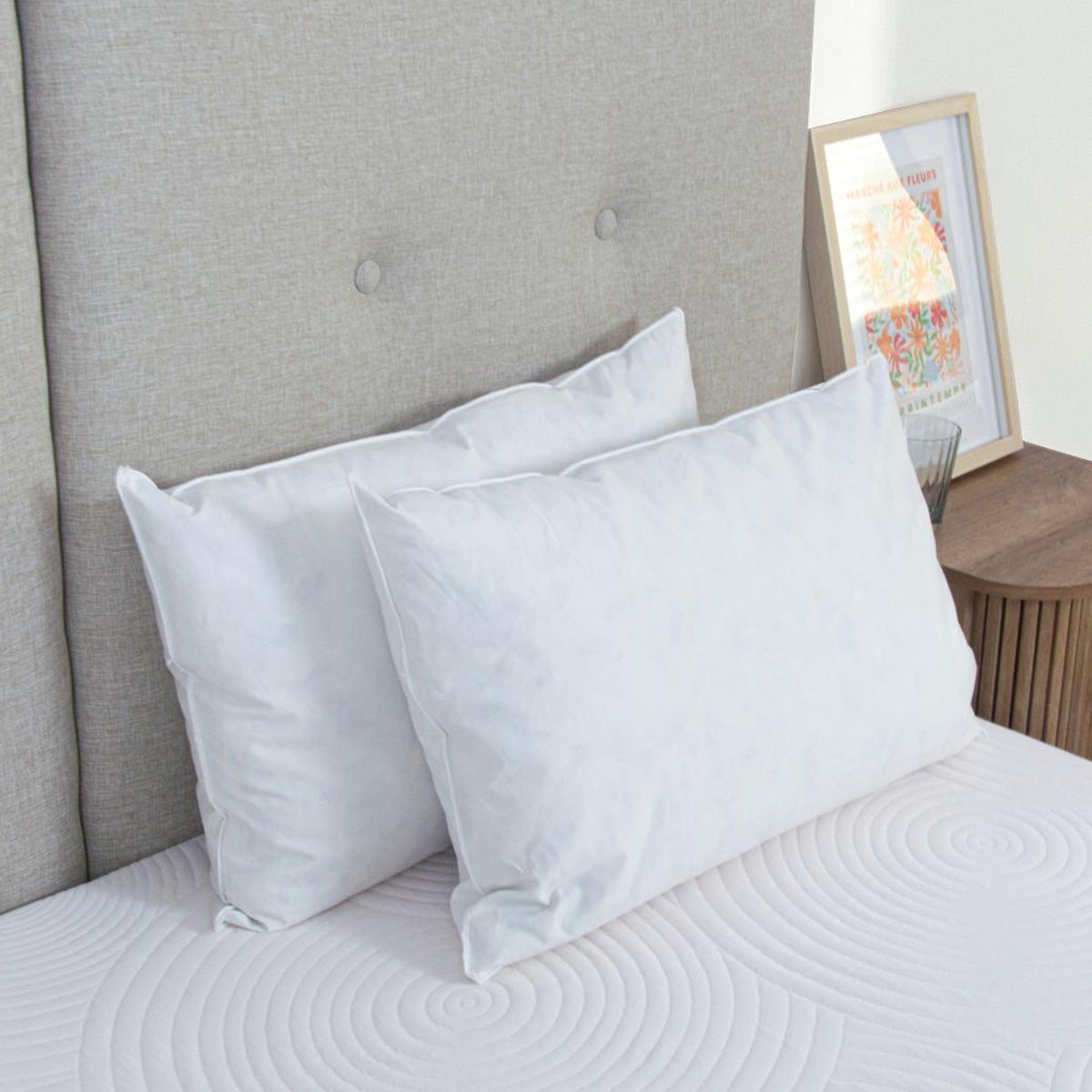 Oreiller Plumes et duvet NATURA