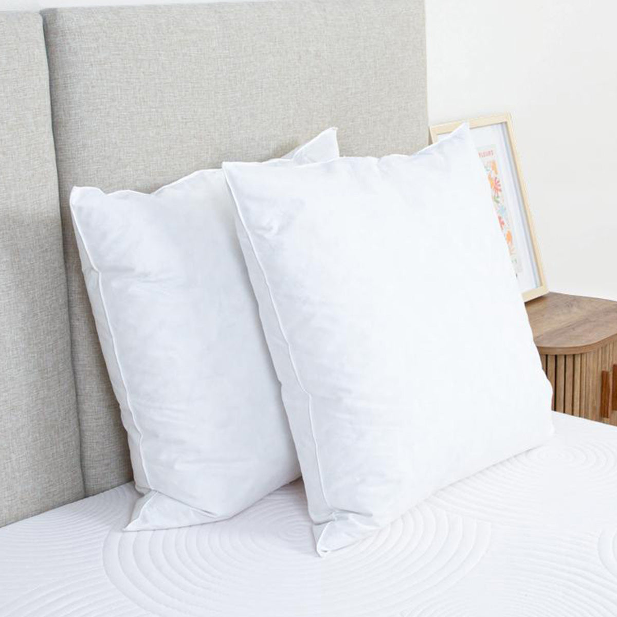 Oreiller Plumes et duvet NATURA