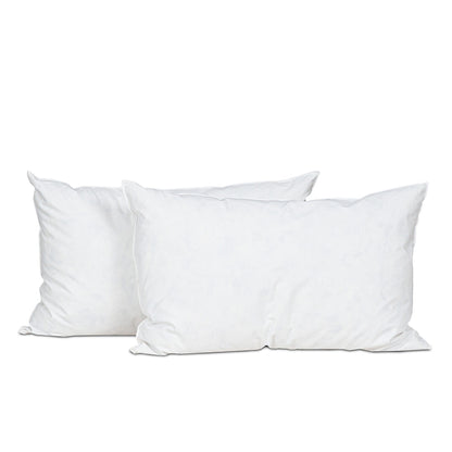 Oreiller Plumes et duvet NATURA